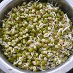 mung healthy sprouts
