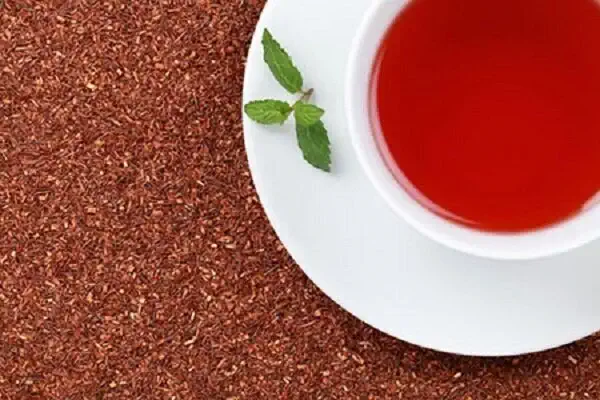 فواید چای ریبوس چیست؟
