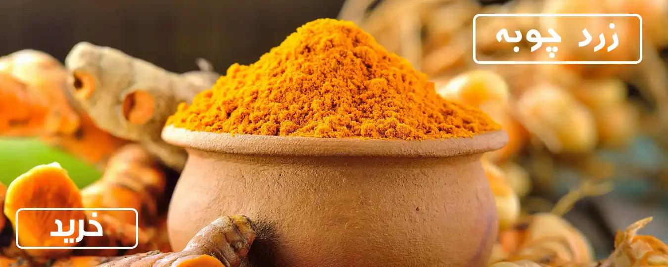 خرید ادویه مهاباد 3 خرید زردچوبه