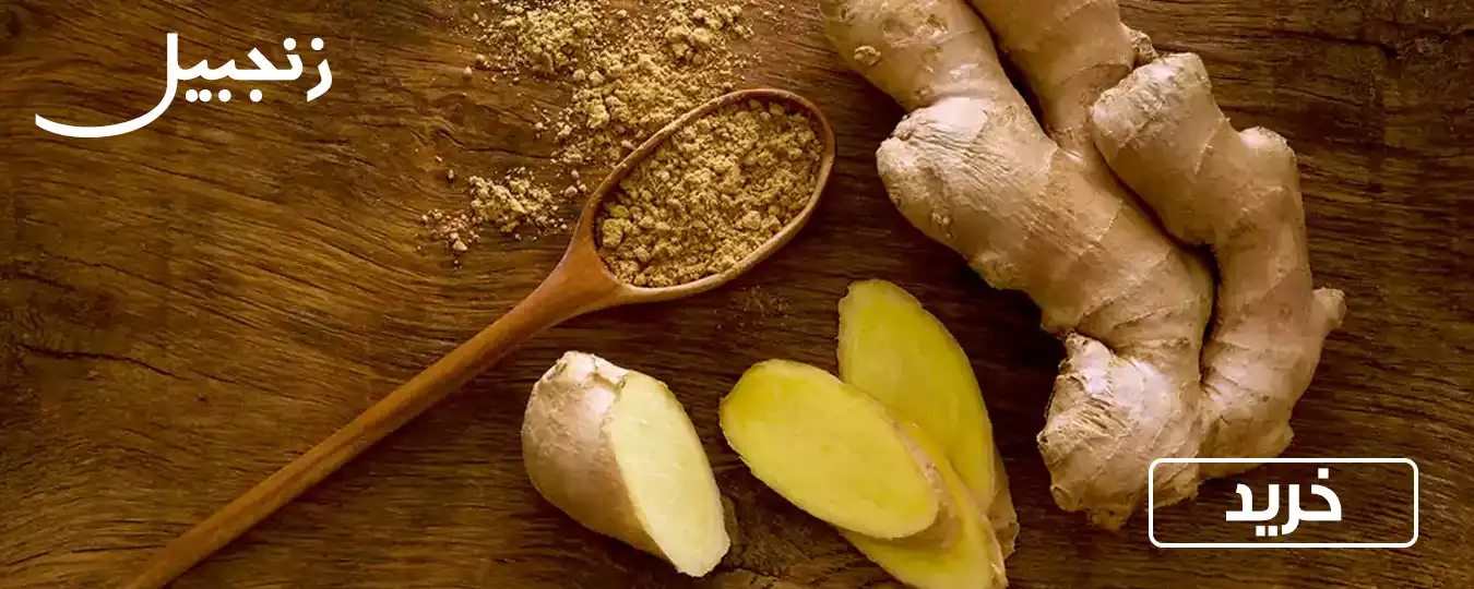 خرید ادویه مهاباد 4 خرید زنجبیل