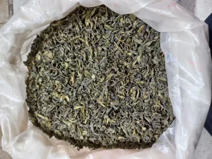 چای سبز 1 کیلوگرم