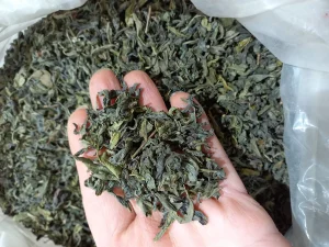 چای سبز 1 کیلوگرم